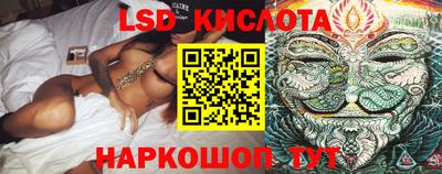a pvp Кингисепп