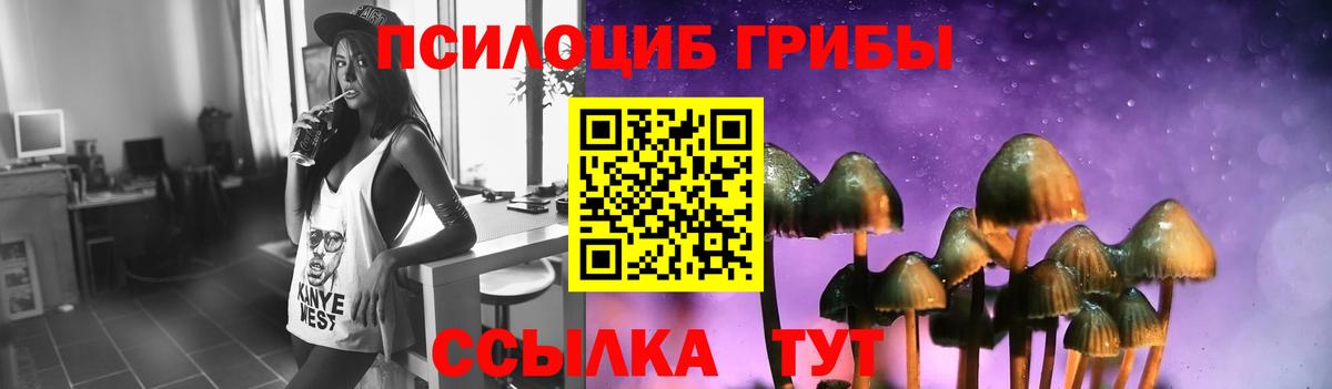 Псилоцибиновые грибы мицелий  Вход с VPN  Шали  Псилоцибиновые грибы MAGIC MUSHROOMS 